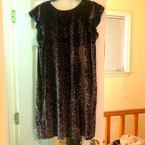LOFT Floral Velvet Ruffle Sleeve Shift Dress